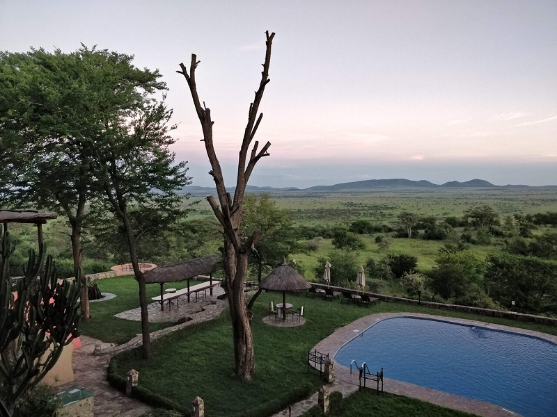 serengeti-sopa-lodge
